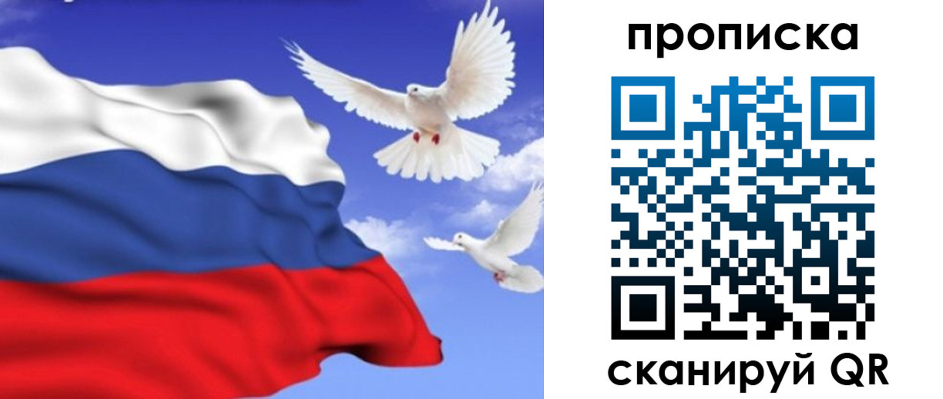 временная регистрация гарантия в Каменке